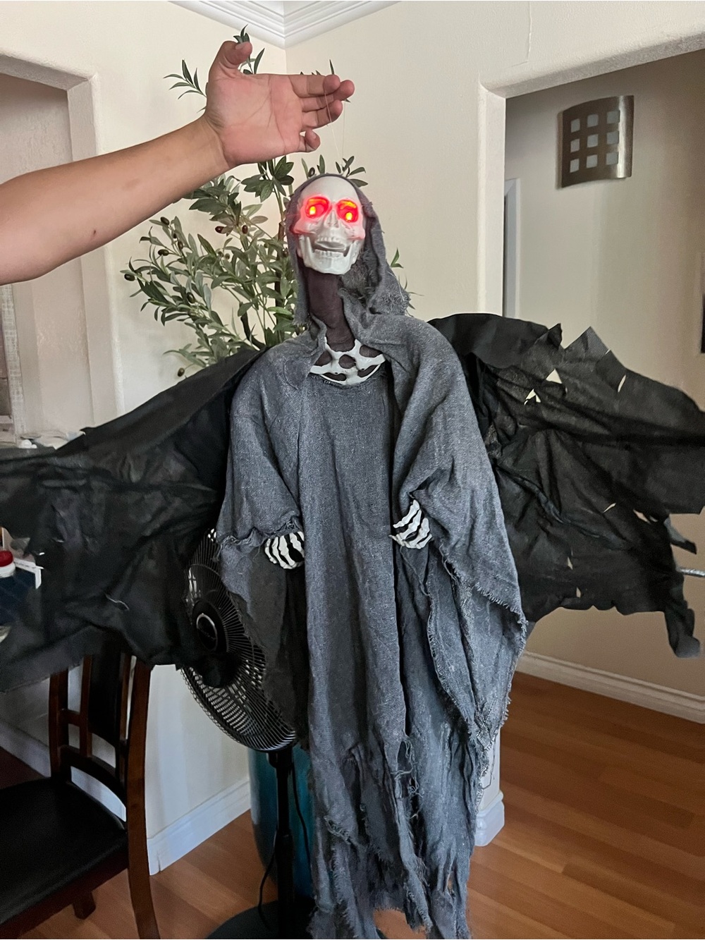 Halloween bundle. Wings move